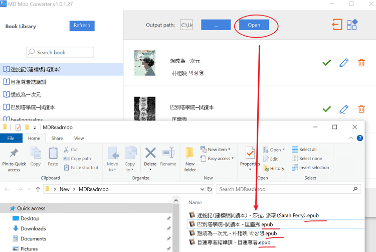 moo converter output epub