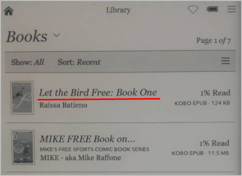 read epub and pdf on kobo