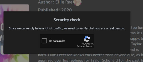security check